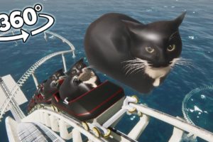 VR 360 Maxwell The Cat Roller Coaster!