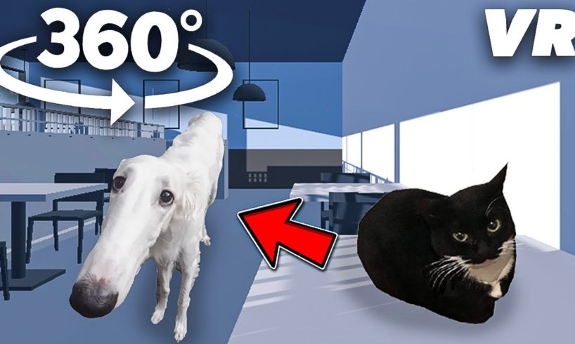 360° Dog Let me do it for you -  Cafe 3d - (Vr/360)  Watch the video! - BoxLand 360