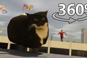 PARKOUR With Maxwell The Cat in 360° VR/4K