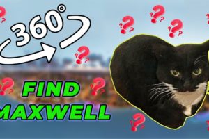 Maxwell The Cat 360° - FIND MAXWELL| VR/360 Video 🔍