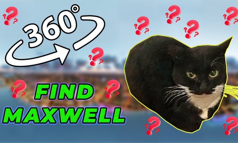 Maxwell The Cat 360° - FIND MAXWELL| VR/360 Video 🔍