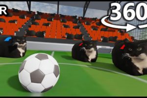 FOOTBALL With Maxwell The Cat in 360° VR/4K