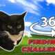 Maxwell The Cat 360° - FIND MAXWELL| VR/360 Video 4K 🔍 🐈