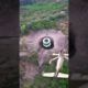 Drone camera view
