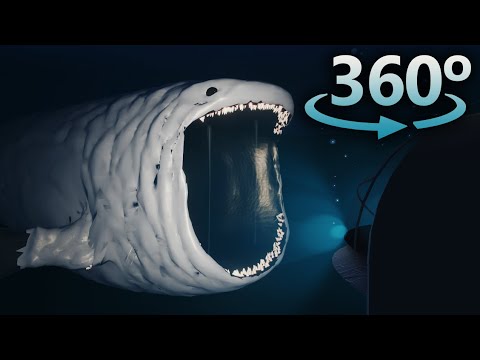 Bloop in 360° VR / 4K