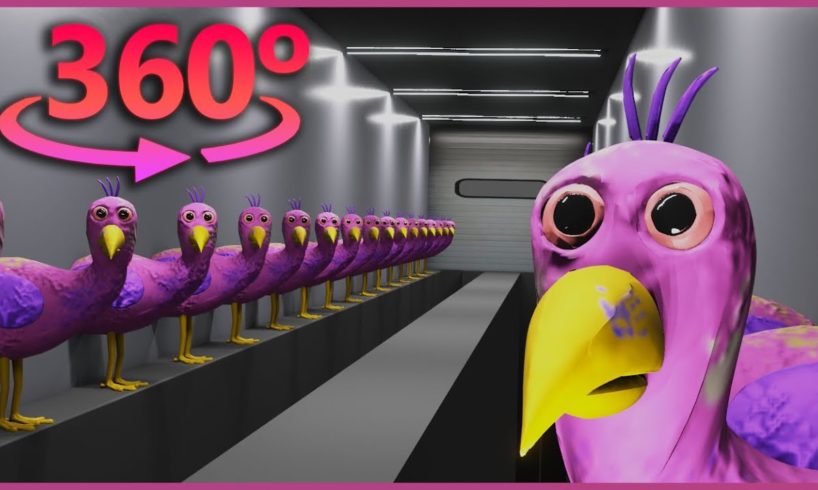 Opila Bird Room in 360° VR / 4K