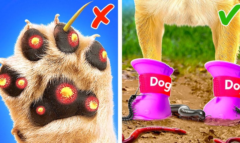 Keep Your Pets Safe! *Viral Gadgets and Hacks For Happy Cats and Dogs*