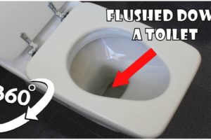 360 Video | Flushed Down A Toilet Version 6 | VR 4K