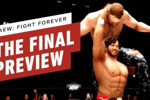 AEW Fight Forever: The Final Preview