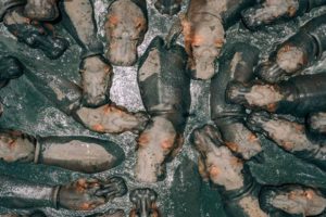 Hippos In Tanzania - Photo Shot By DRONE CAMERA