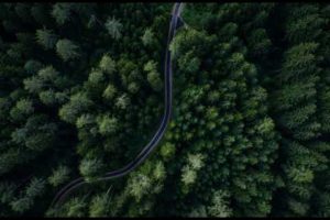 Narrow Street Between Woodland - Photo Shot By DRONE CAMERA