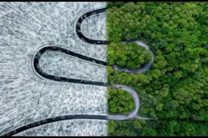 Weather Snake - Photo Shot By DRONE CAMERA