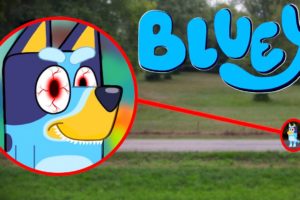 Drone Catches BLUEY IN REAL LIFE!!