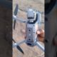 Drone Camera #viral #youtubeshorts #trending #dji #drone #shorts #djimini2