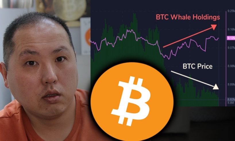 NO SURPRISE...BITCOIN WHALES ARE BUYING