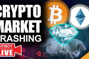 Bitcoin and Ethereum Crashing (Diamond Hands Will Win In 2021)