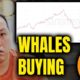 BITCOIN HOLDERS PAY ATTENTION TO WHALES BUYING