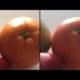 Samsung Galaxy S3 vs Apple iPhone 4S Camera & HD Video Test