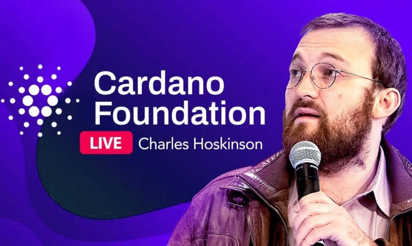 Charles Hoskinson: We Expect $150 per Cardano in the end of 2021! Cardano big update!
