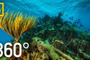 360° Underwater National Park | National Geographic