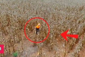 11 TERRIFYING Things Caught by Drones on Camera