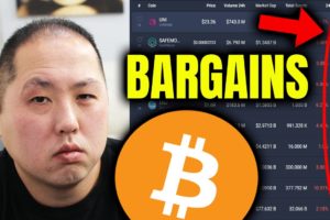 BARGAIN HUNTING AFTER THE BITCOIN DIP | WHICH ALTCOINS?
