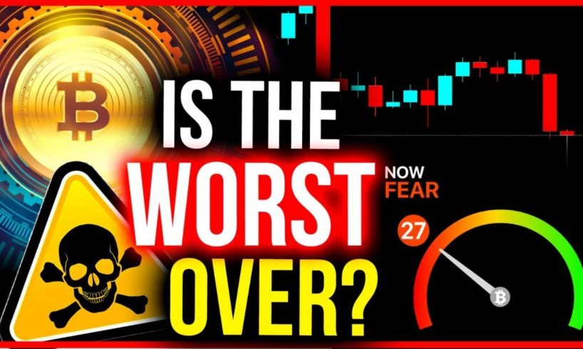 BITCOIN CRASH OVER?? 3 BIGGEST ALTCOINS WE'RE WATCHING!!