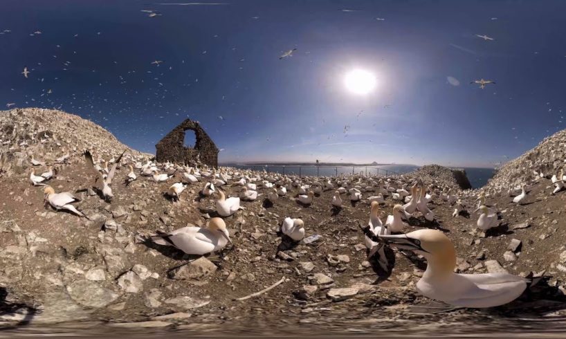 360° virtual reality Scotland expedition #EndOceanPlastics
