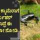 ಡ್ರೋನ್​ ಕ್ಯಾಮೆರಾಗೆ ಪರ್ಮಿಶನ್​ ಬೇಕಾದ್ರೆ ಈ ವೀಡಿಯೋ ನೋಡಿ | Drone Cameras |  Drones