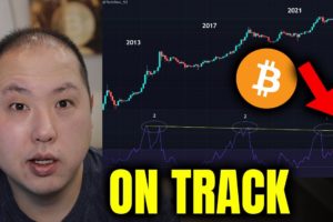 THIS INDICATOR SHOWS BITCOIN IS ON TRACK TO $100,000