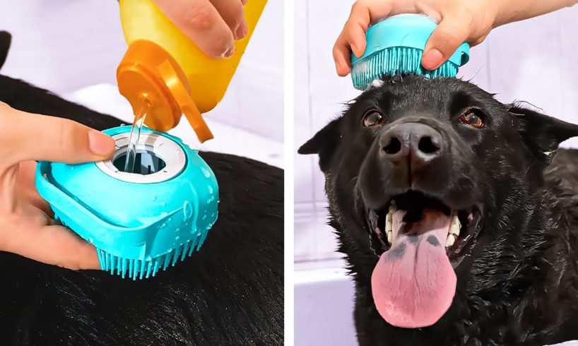 Cute And Smart Pet Gadgets, Hacks And DIY Crafts That Might Be Useful