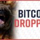BITCOIN DROPPED! Should You Be SCARED Of Bitcoin?? NO! Coffee N Crypto LIVE