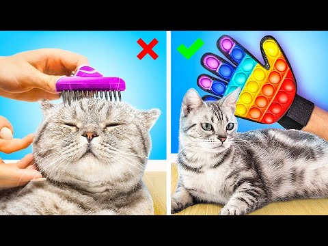 Smart Pet Gadgets and Hacks for Your Loved Ones! Cat and Dog Hacks