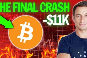 THE LAST Bitcoin & Crypto "Crash" (2021)