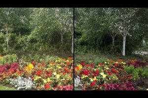 Nokia 808 Pureview vs iPhone 4S Camera Test Comparison.