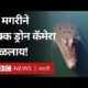 Viral Video: Crocodile ने जेव्हा अख्खा Drone Camera गिळला | BBC News Marathi