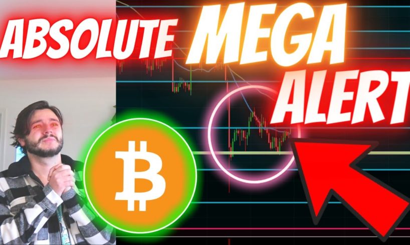 ABSOLUTE BITCOIN *MEGALERT* - SIGNS MEGA-BOUNCE INCOMING? [you won't be able to sit down after this]