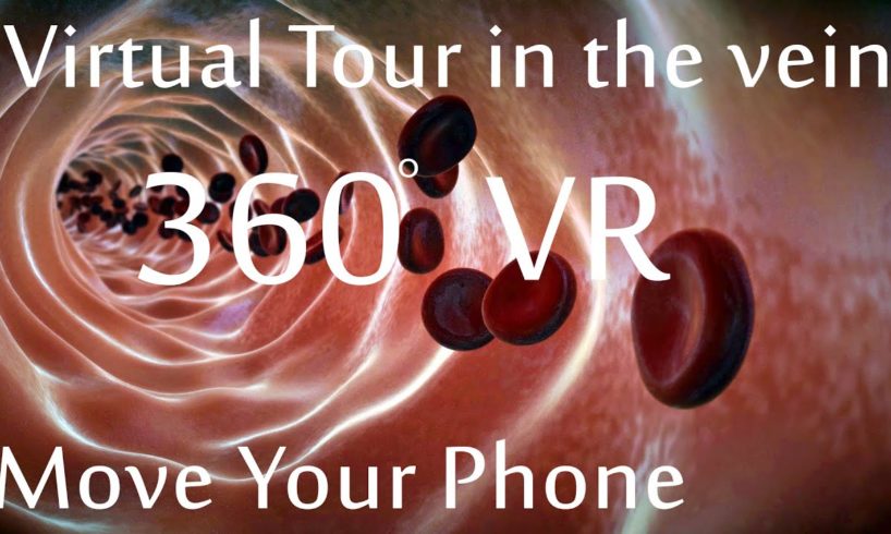 A Virtual Reality tour inside the vein