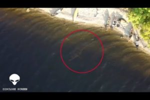 The Loch Ness monster accidentally filmed on drone camera at Great Glenn river, Scotland.