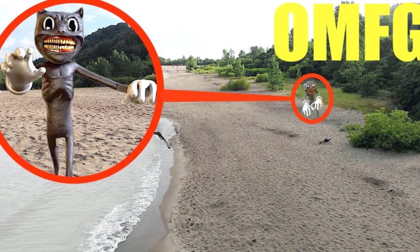 you won't believe what my drone caught on camera at the beach (cartoon cat sighting)