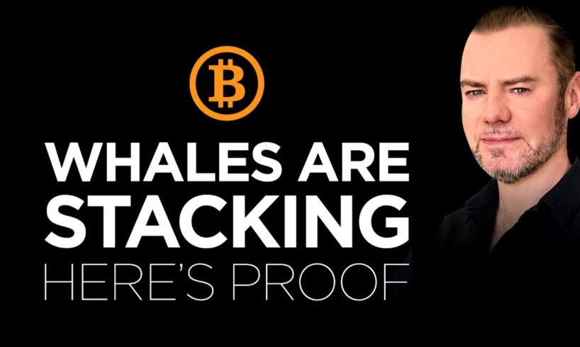 Bitcoin - How Whales Are Stacking while the world is in FEAR