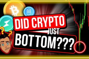 IS THE BITCOIN PRICE BOTTOM IN? (7 BEST REASONS WHY I THINK IT IS)