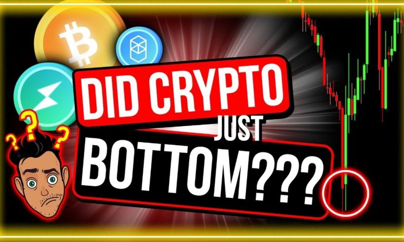 IS THE BITCOIN PRICE BOTTOM IN? (7 BEST REASONS WHY I THINK IT IS)