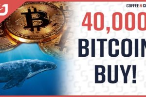 40,000 BTC Buy! Bitcoin Prepares For Rally Following Final Stage Of Downtrend? Coffee N Crypto LIVE