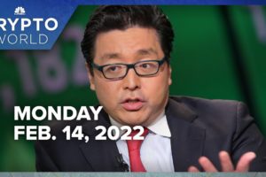 Crypto bull Tom Lee lays out risks to $200,000 bitcoin price target: CNBC Crypto World