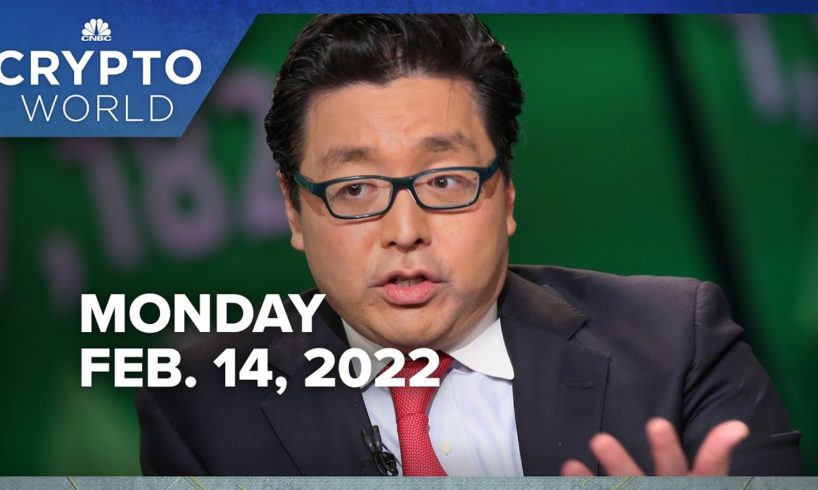 Crypto bull Tom Lee lays out risks to $200,000 bitcoin price target: CNBC Crypto World