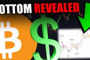 THIS INSANE CHART JUST REVEALED THE BITCOIN BOTTOM