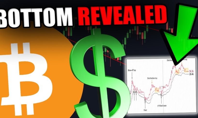 THIS INSANE CHART JUST REVEALED THE BITCOIN BOTTOM