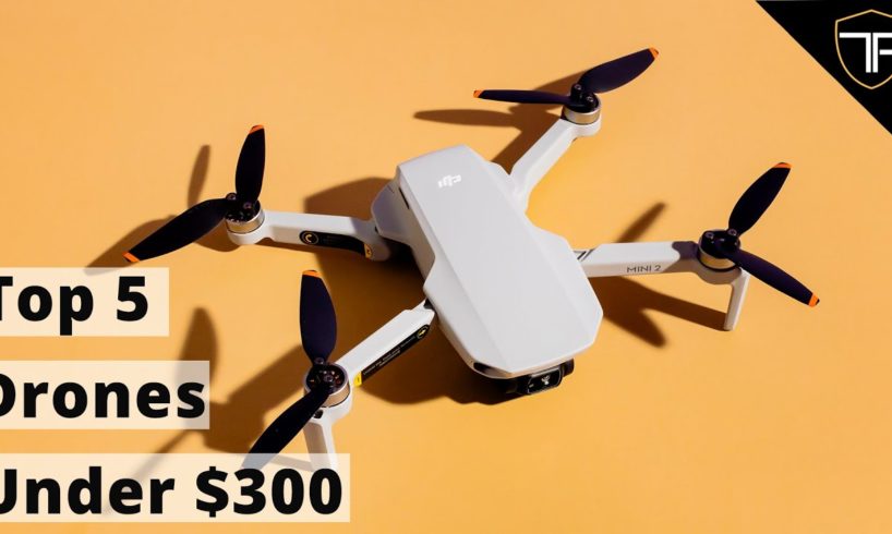 Top 5 Drones Under $300!