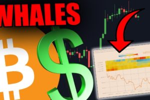 THESE BITCOIN WHALES JUST CHANGED THEIR MIND